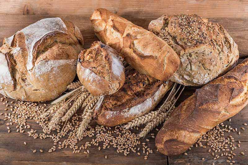 Grains de Farines Paysan Boulanger Vente directe