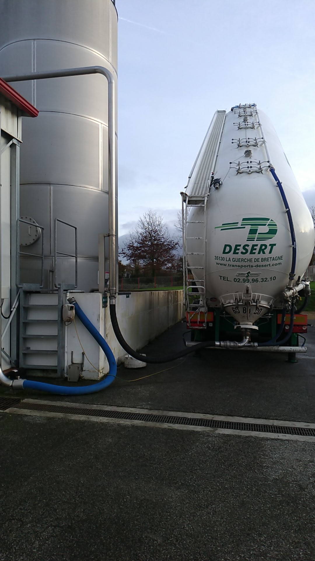 Pâtisseries _ Gourmandes