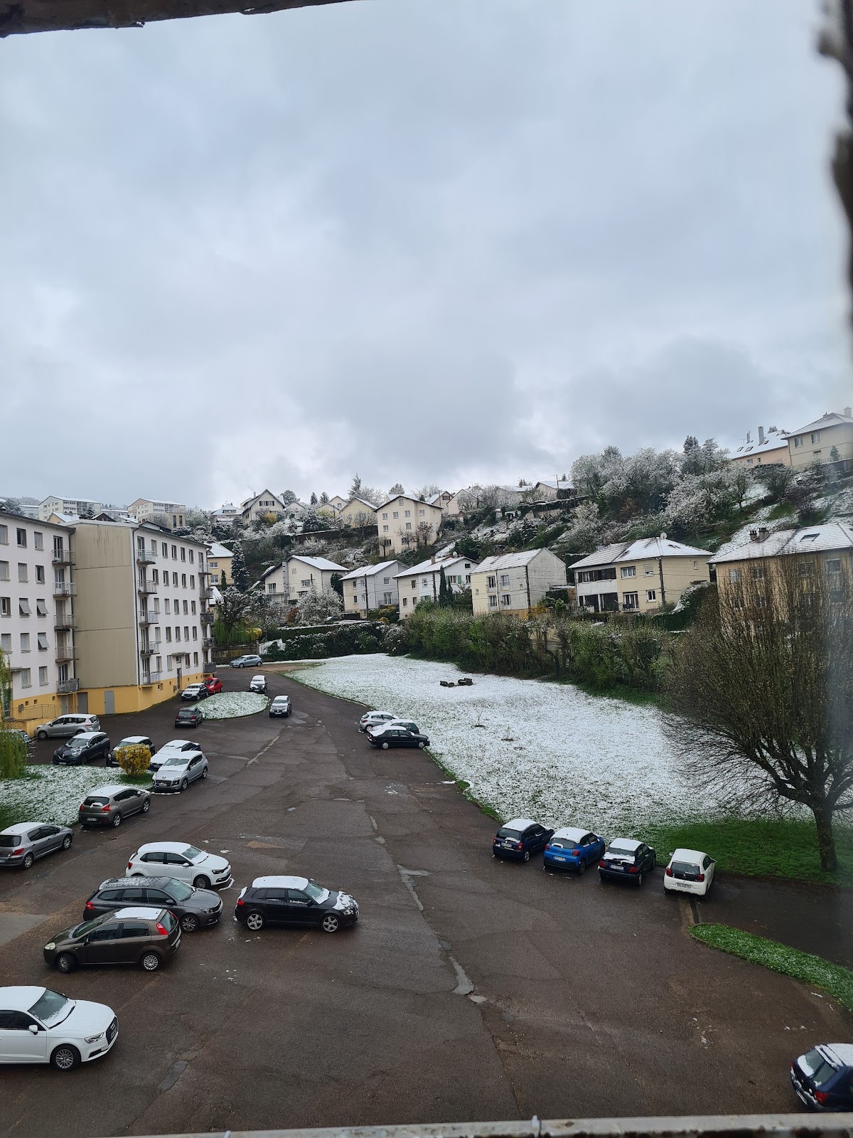 Boulangerie Des Clairs Soleils Domenico