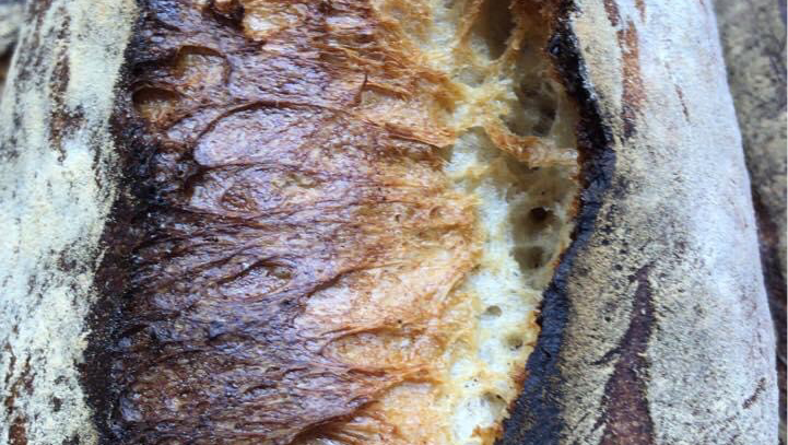 Boulangerie Calvid 5 Caroline