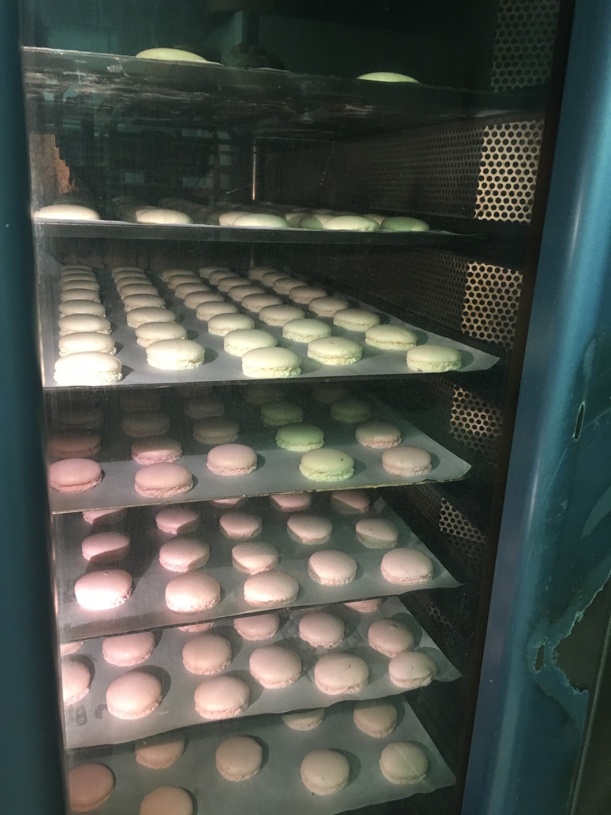 Maison Lliteras Romain