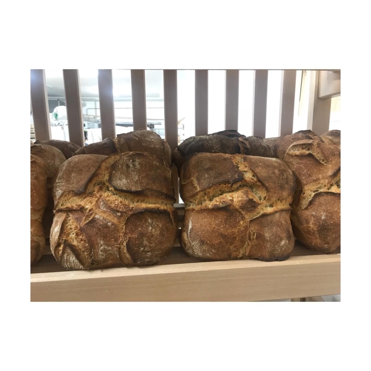 Fournil Bio Du Midi / Le Carreau de Blé