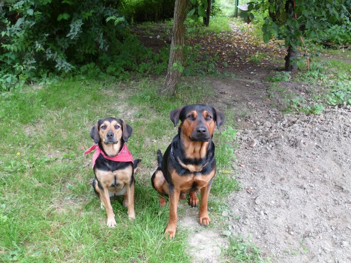 L'Authentique Boulangerie (La Providence)