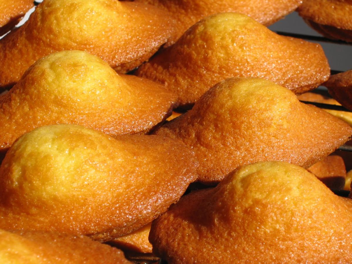 Lanven Sarl madeleine-kerys