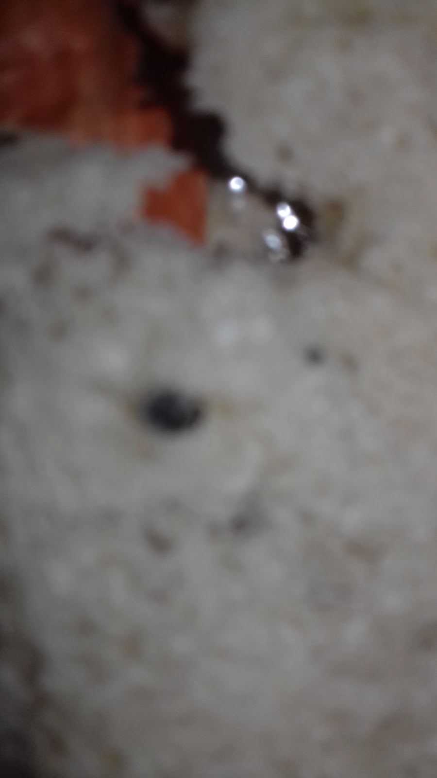 Boulangerie Patisserie