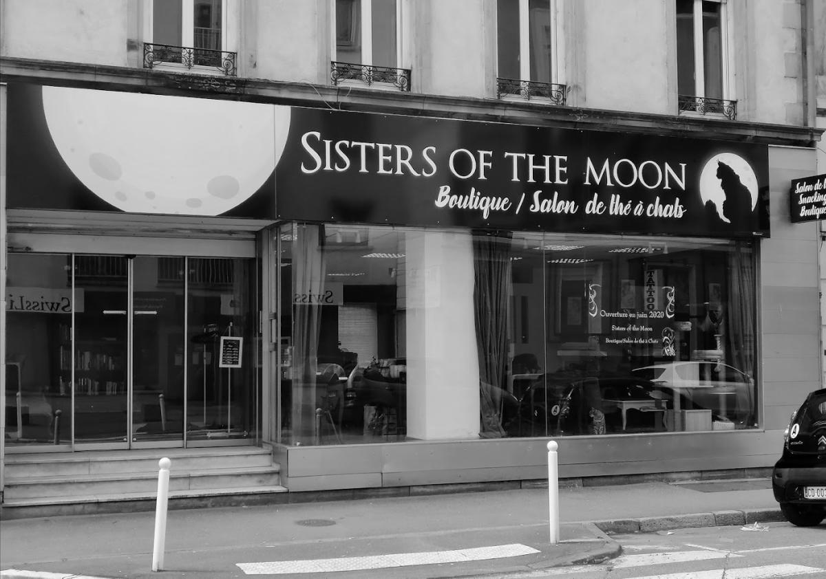 Sisters of the moon