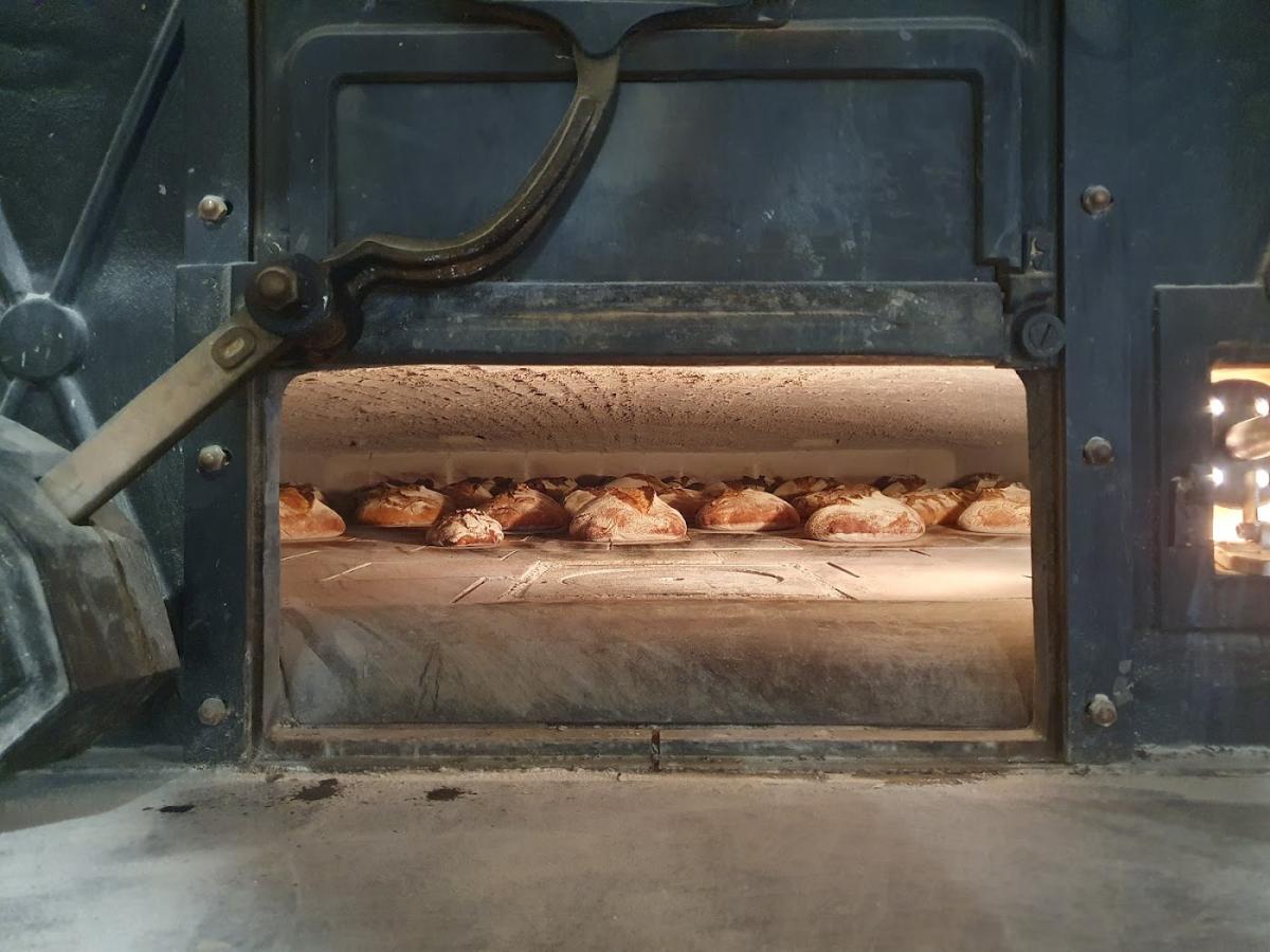 Vagabonde Pain Bien élevé