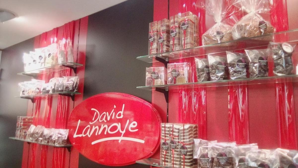Lannoye david
