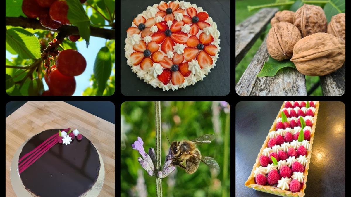 Les Peri-Gourmandises de la ferme de la blogeonie (Pâtisserie sur commande)