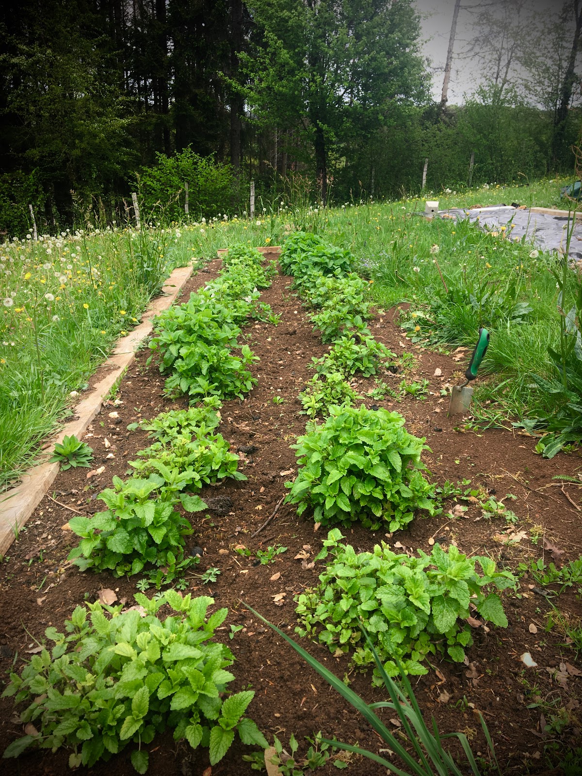 Ferme Les Plaines & La Coquelicotière