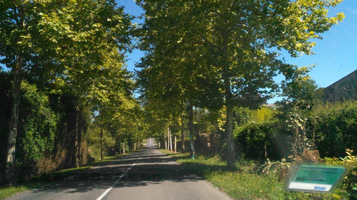 Artisan Boulangerie Patisserie