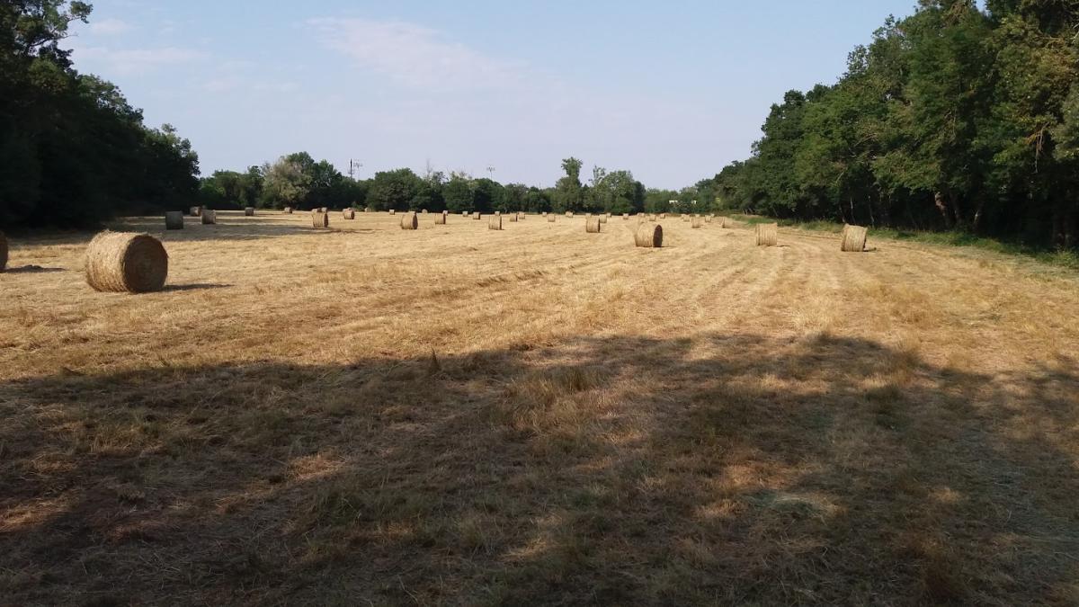 Le Fournil des Boulevards