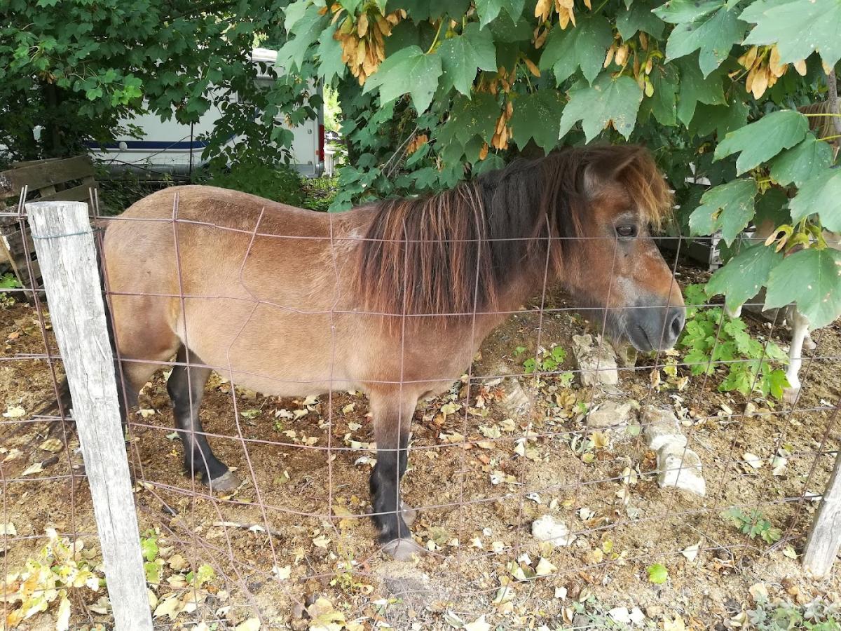 La ferme du moulin cauffry