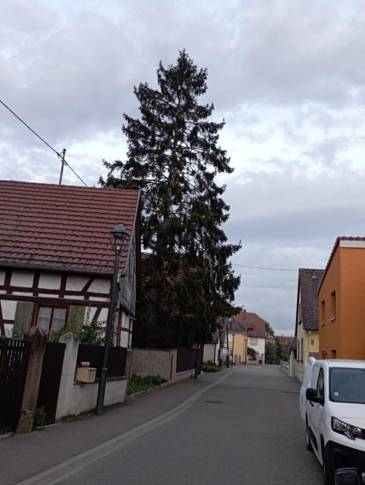 Boulangerie Banette Le Fournil de Marius