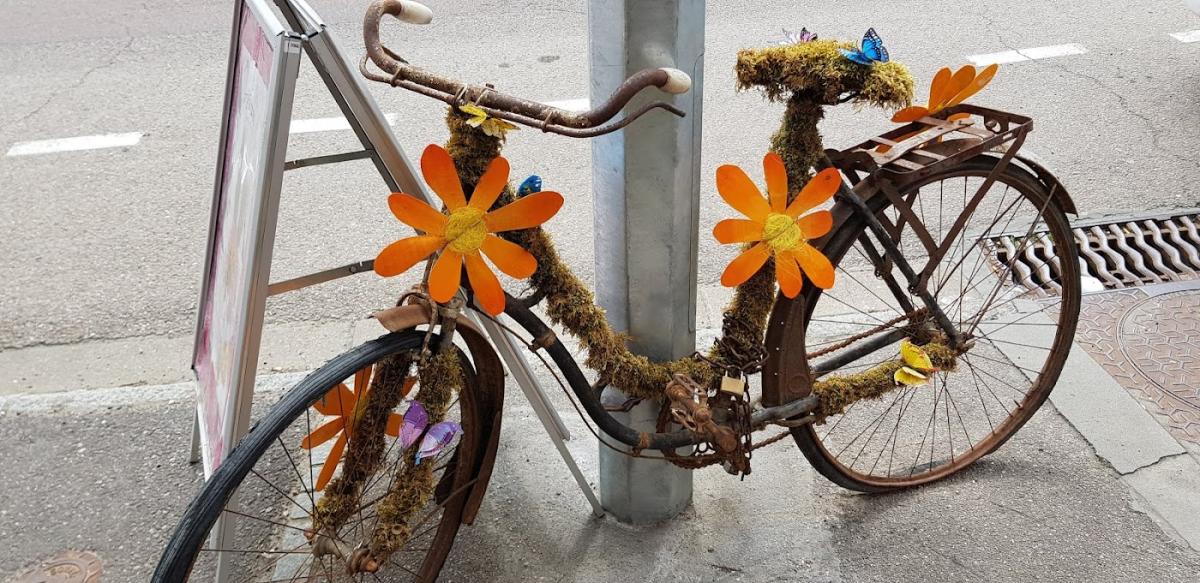 Petits Pains Et Chocolats Petits Pains Et Chocolats