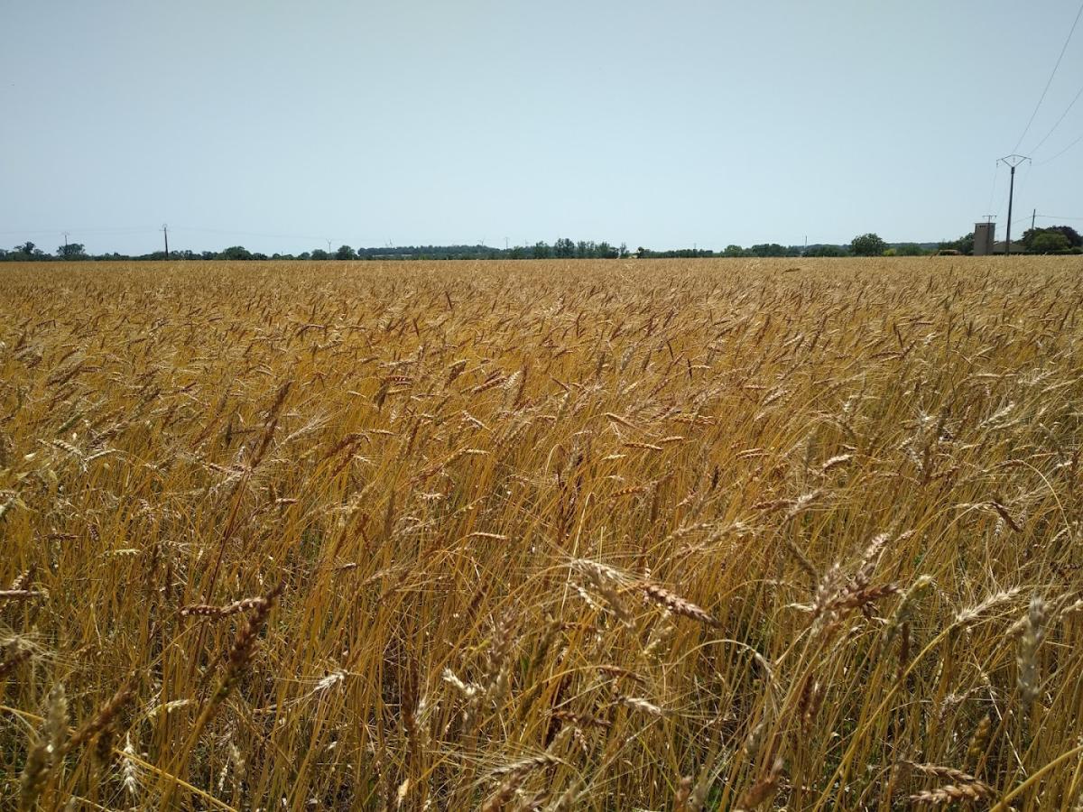 La Ferme du Bois du Treuil