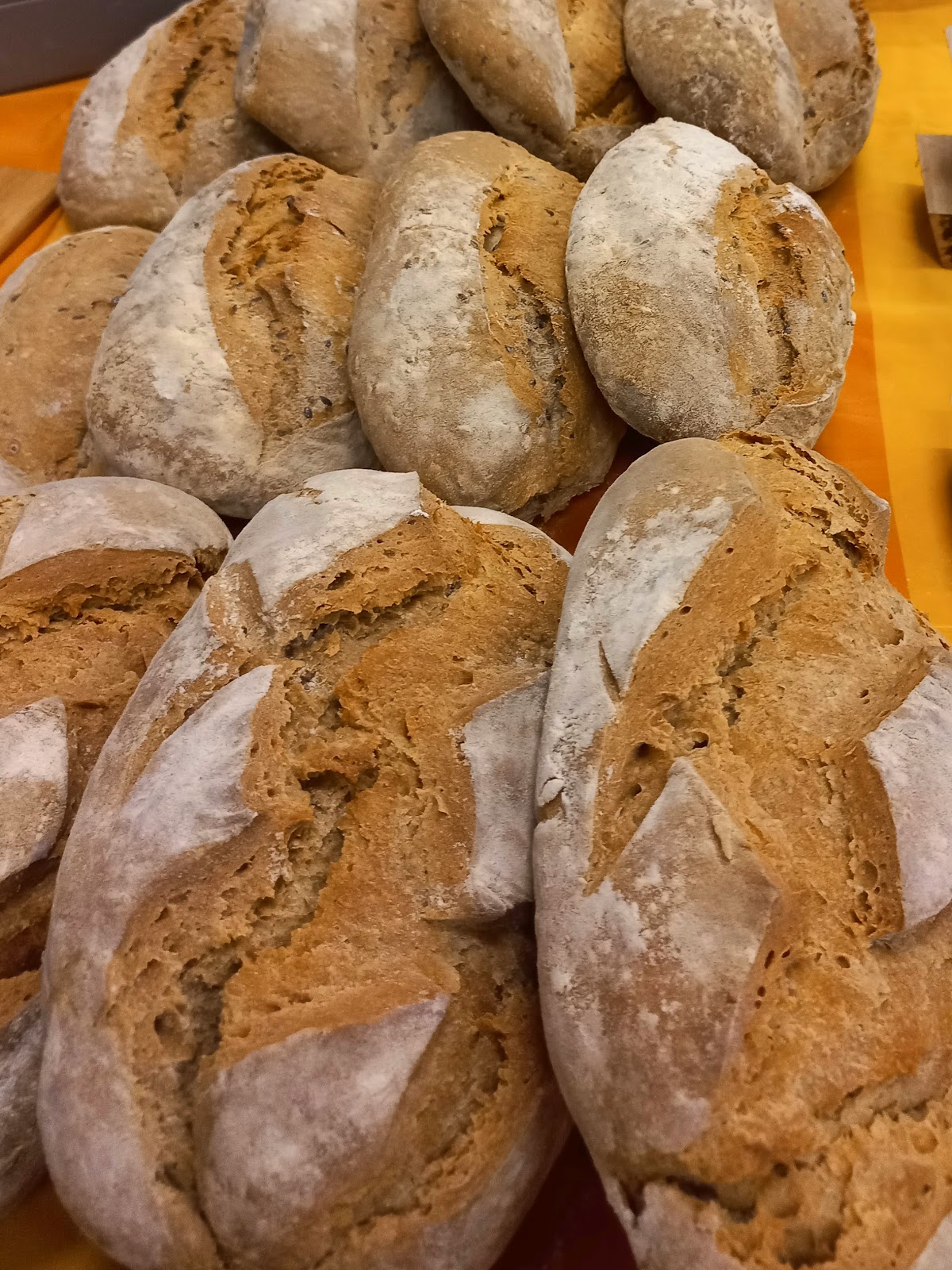 Le Fortnil de Vancia