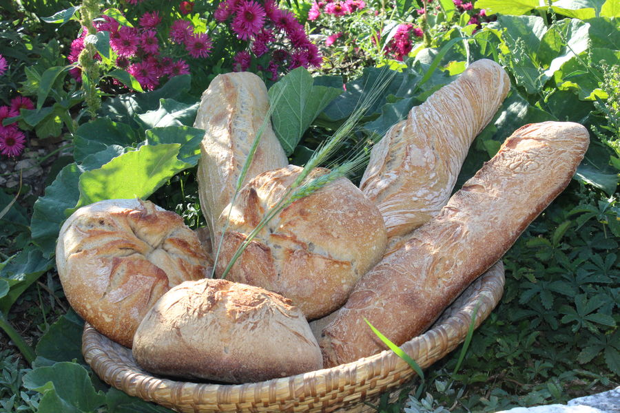 La Ferme Du Forest Gaec