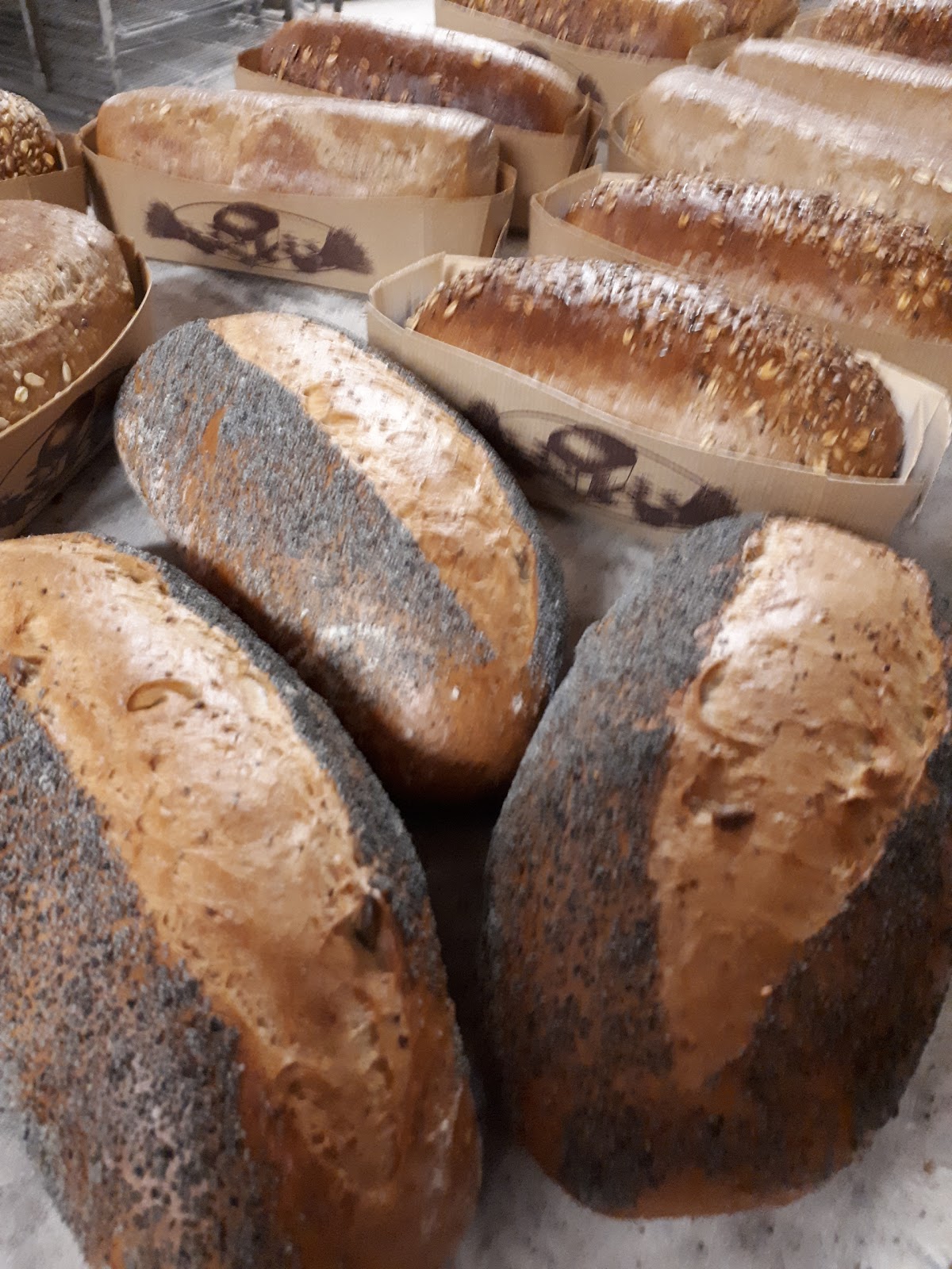 Boulangerie Pâtisserie Rouffaud F.