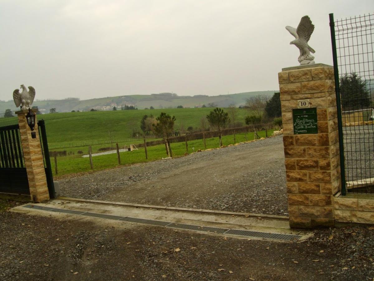 CONFITURES ET BISCUITS,MACARONS NOELLE-EMELINE