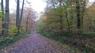Boulangerie GATEAUX DE FETES 0