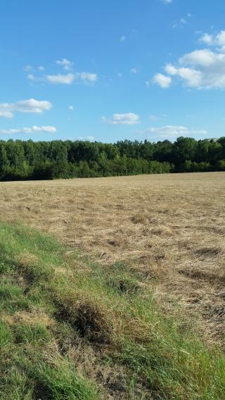 Boulangerie Le fournil de combs 0