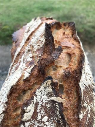 Boulangerie DEUX MAINS 0