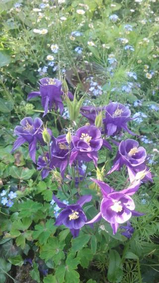 Boulangerie L'Artisan Boulanger | Ghislain Anglade 0
