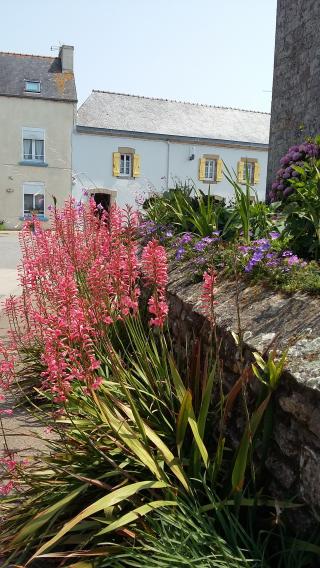 Boulangerie Boulangerie Faillard 0