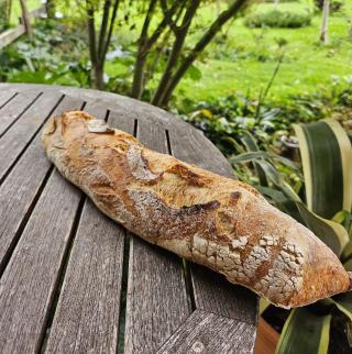 Boulangerie La Mie de Pain Serres-Castet 0