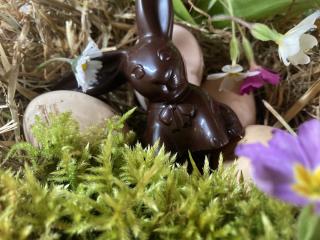 Boulangerie Chlo&Co 0