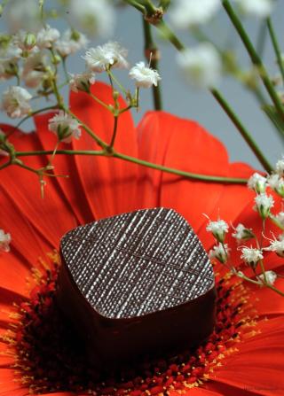 Boulangerie Pâtisserie Chocolaterie Germain 2