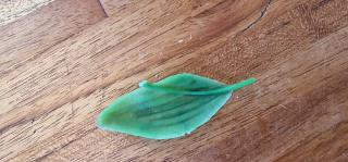 Boulangerie Pains et Gourmandises 0