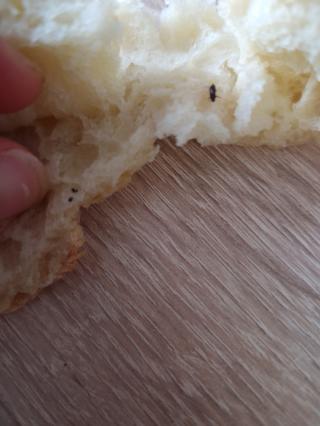 Boulangerie Le Fournil du jardin 0