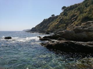 Boulangerie Le fournil d'Émile. Artisan boulanger patissier 0
