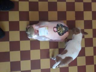 Boulangerie Maison Ponzoni Cantebonne 0