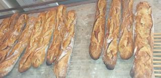 Boulangerie mohamed agrebi 0