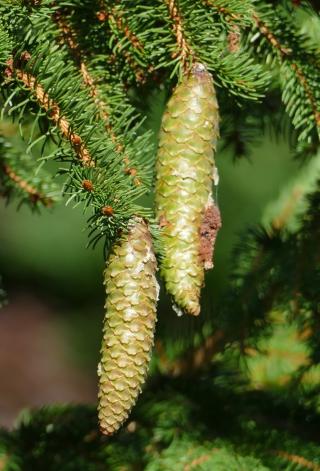 Boulangerie Au fournil de carine et franck 0