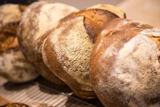Boulangerie La pâtisserie de Chartres 0