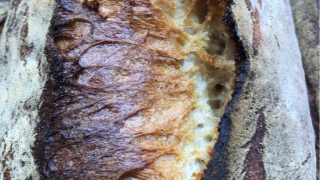 Boulangerie Boulangerie Calvid 5 Caroline 0