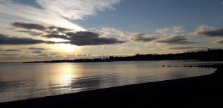Boulangerie David Petit l'esprit Pâtisserie 0