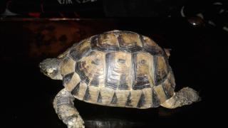 Boulangerie Le Pain d'Anjo 0