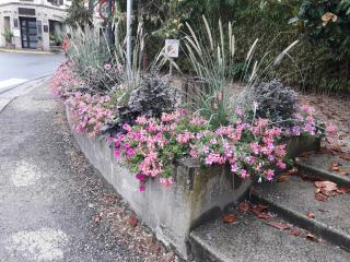 Boulangerie La boîte à pains 0