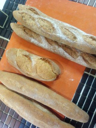 Boulangerie Chez Rose - José Abrantes 0