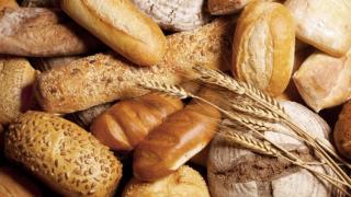 Boulangerie Mie et tradi 0