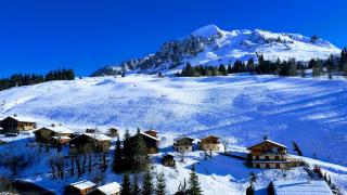 Boulangerie Le Petit Marquis 0