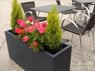 Boulangerie Pâtisseries de la Cathédrale 0