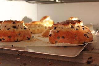 Boulangerie Aux Merveilleux de Fred 0