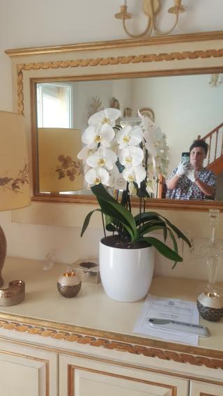 Boulangerie Maitre Julien Artisan Boulanger 0