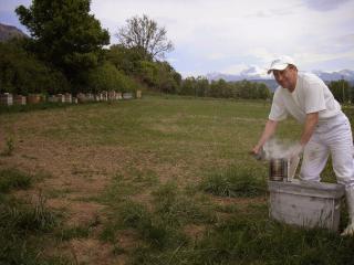 Boulangerie Guy Mari apiculteur créateur de douceurs 0